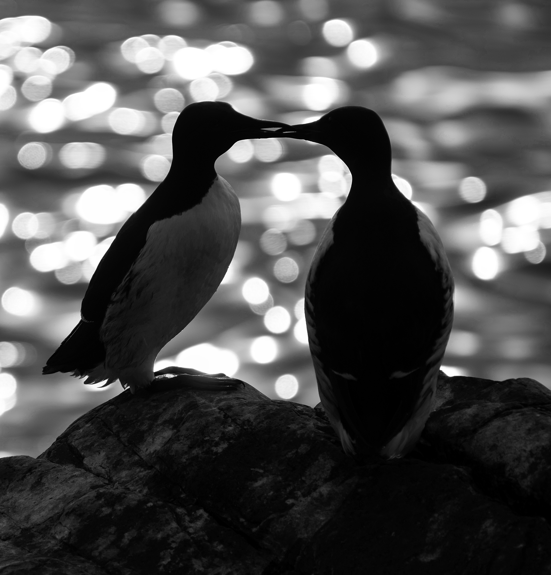 Månadens bilde - Mars 2020