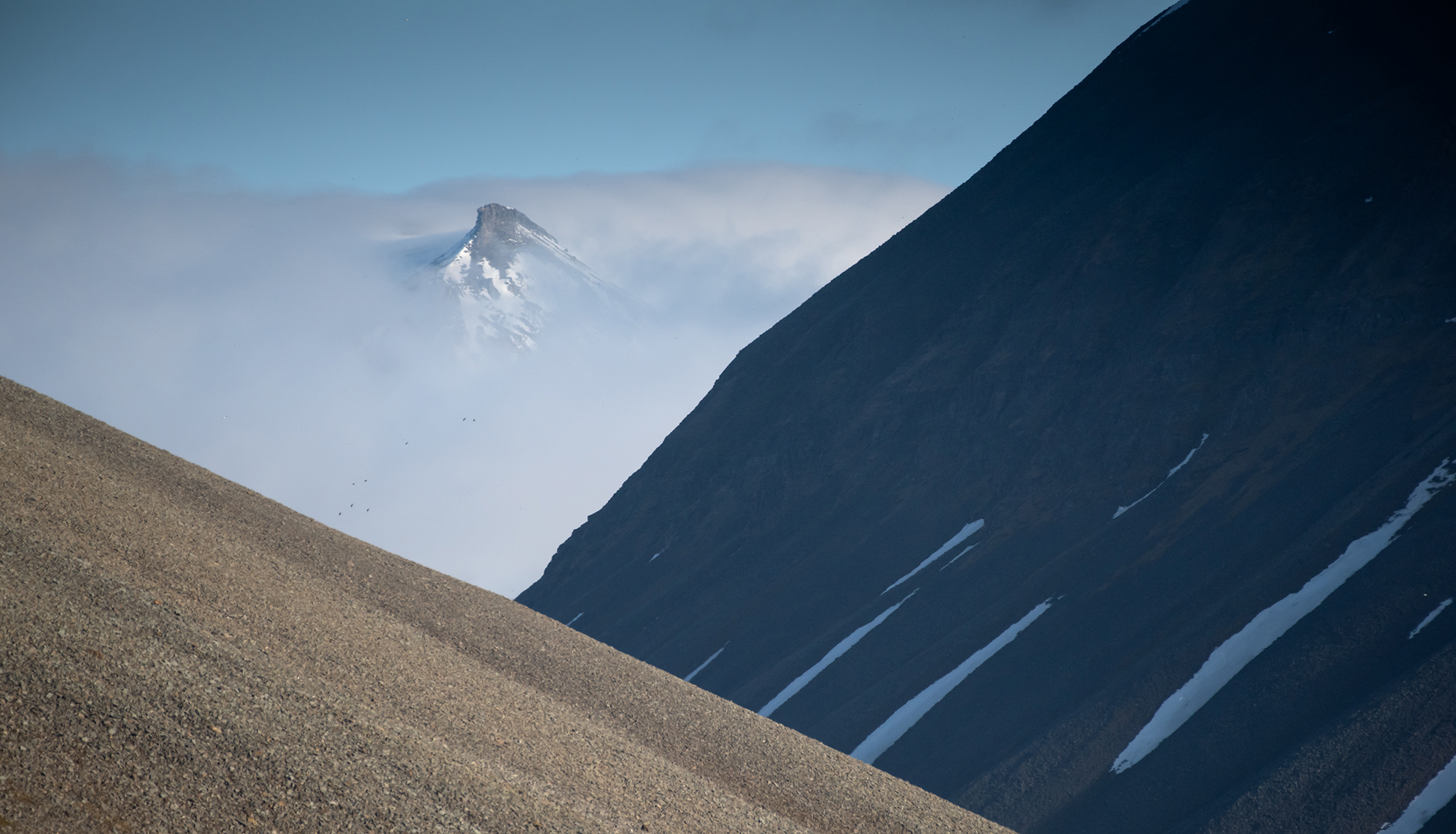 Månadens bilde - Juli/August 2020