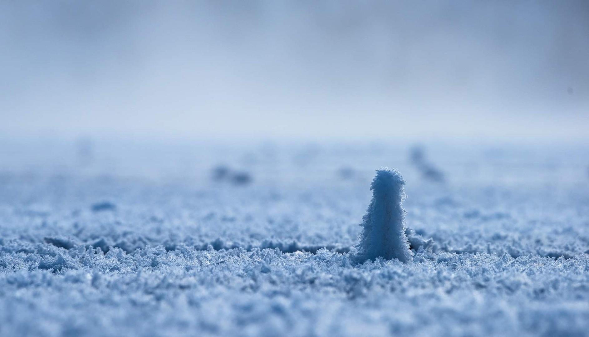 Månadens bilde - September 2020