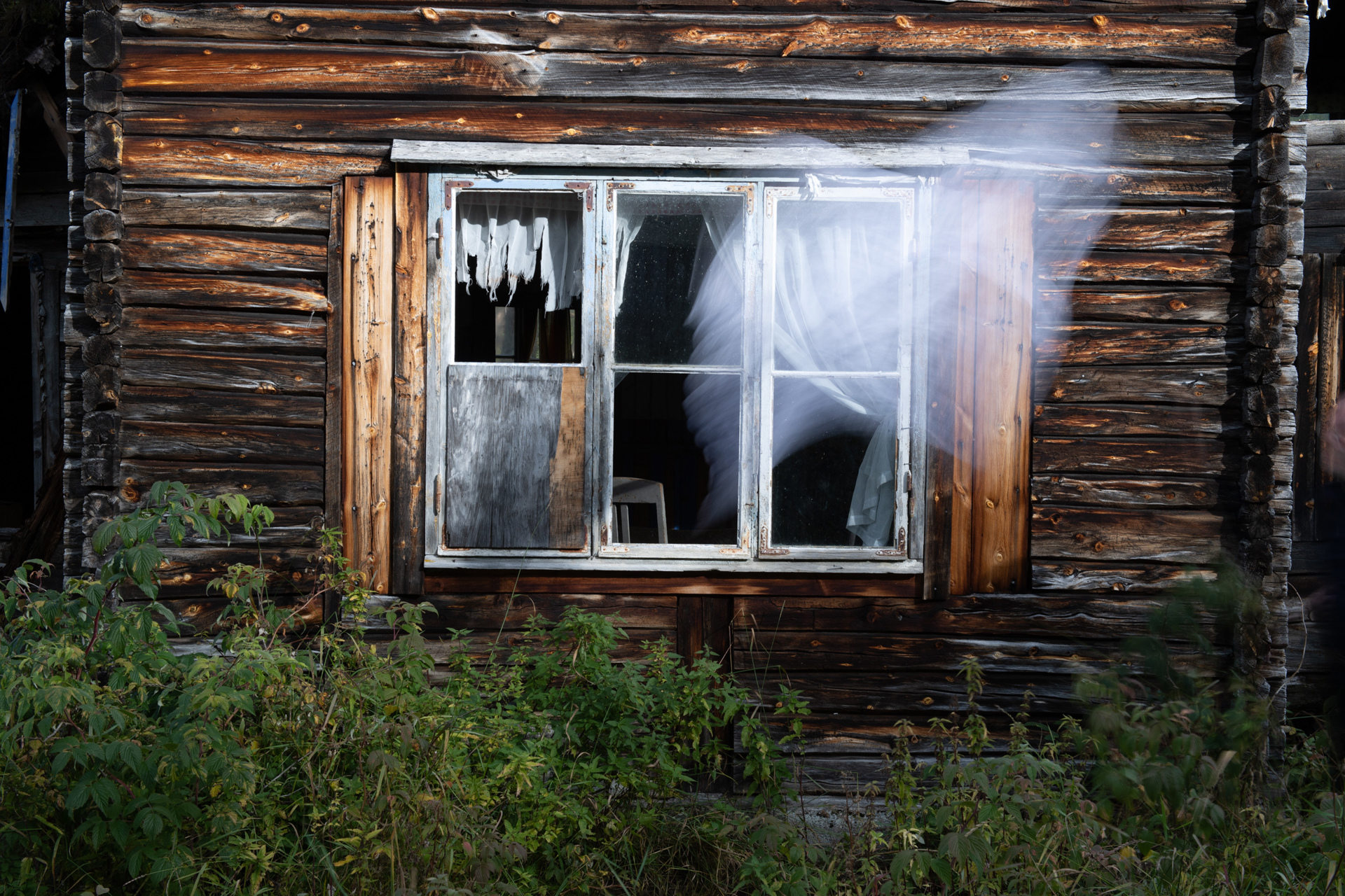 Månadens bilde - November 2020