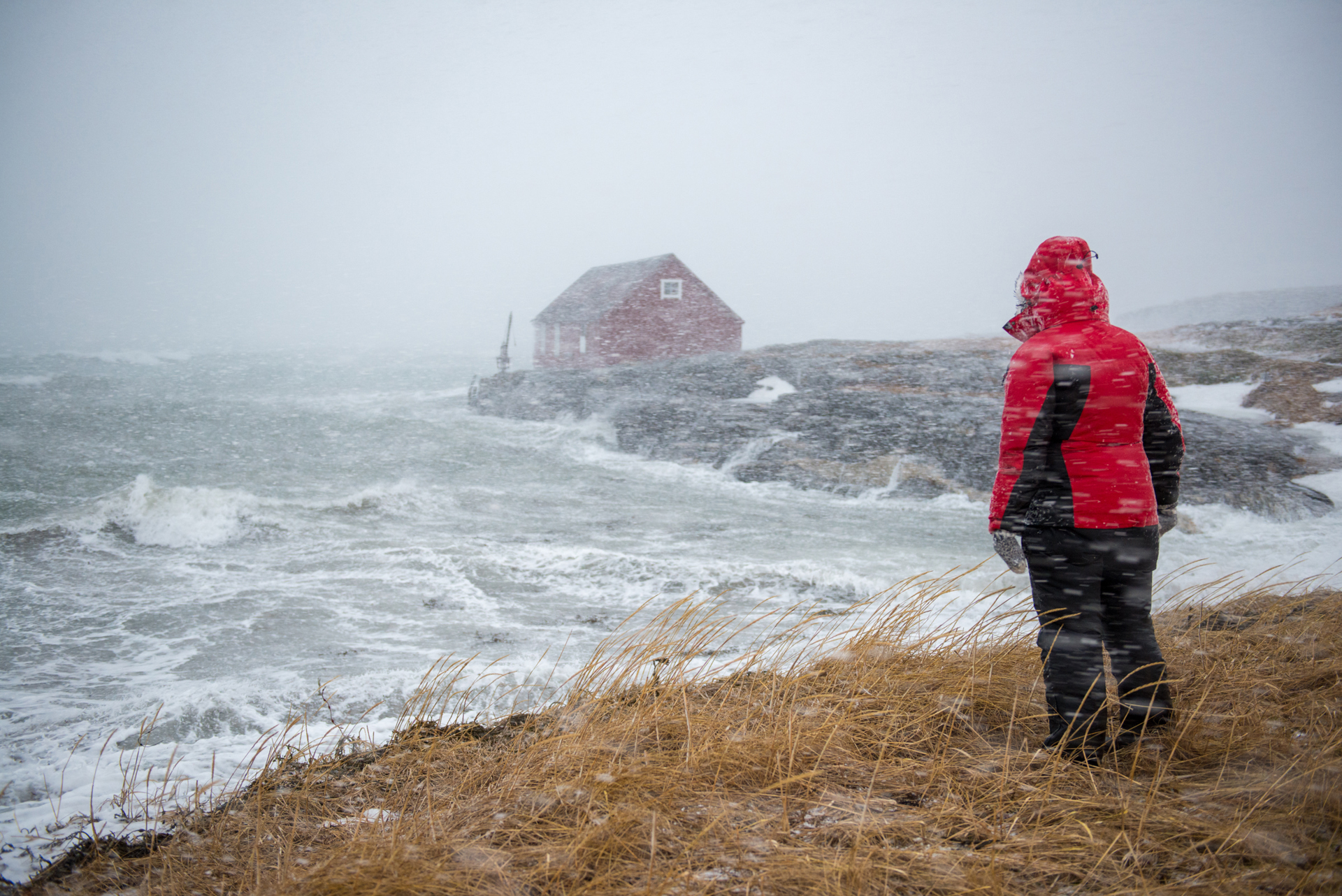 Månadens bilde - Januar 2021