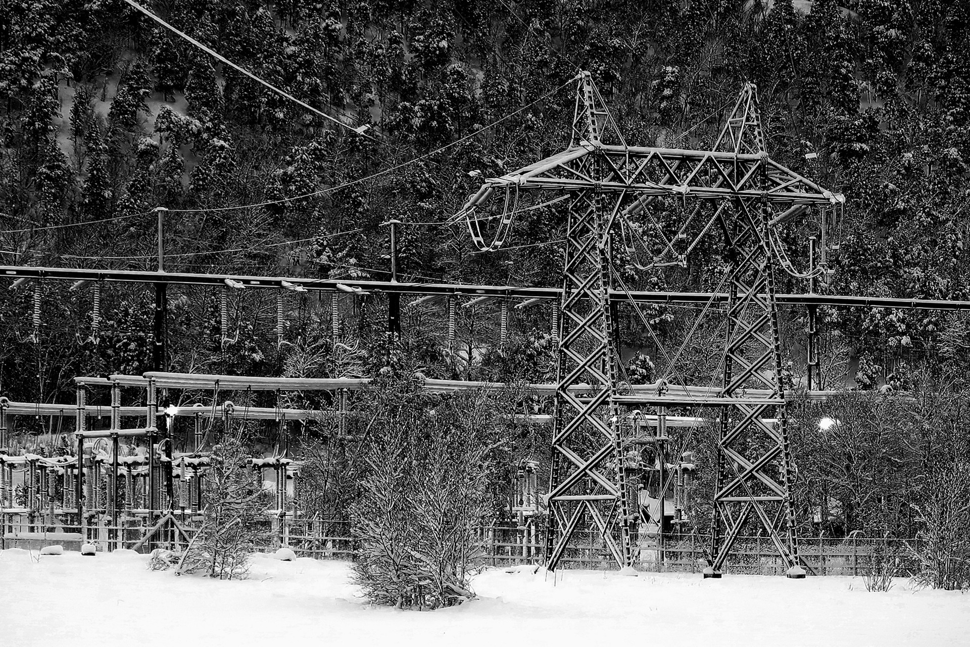 Månadens bilde - Oktober 2021