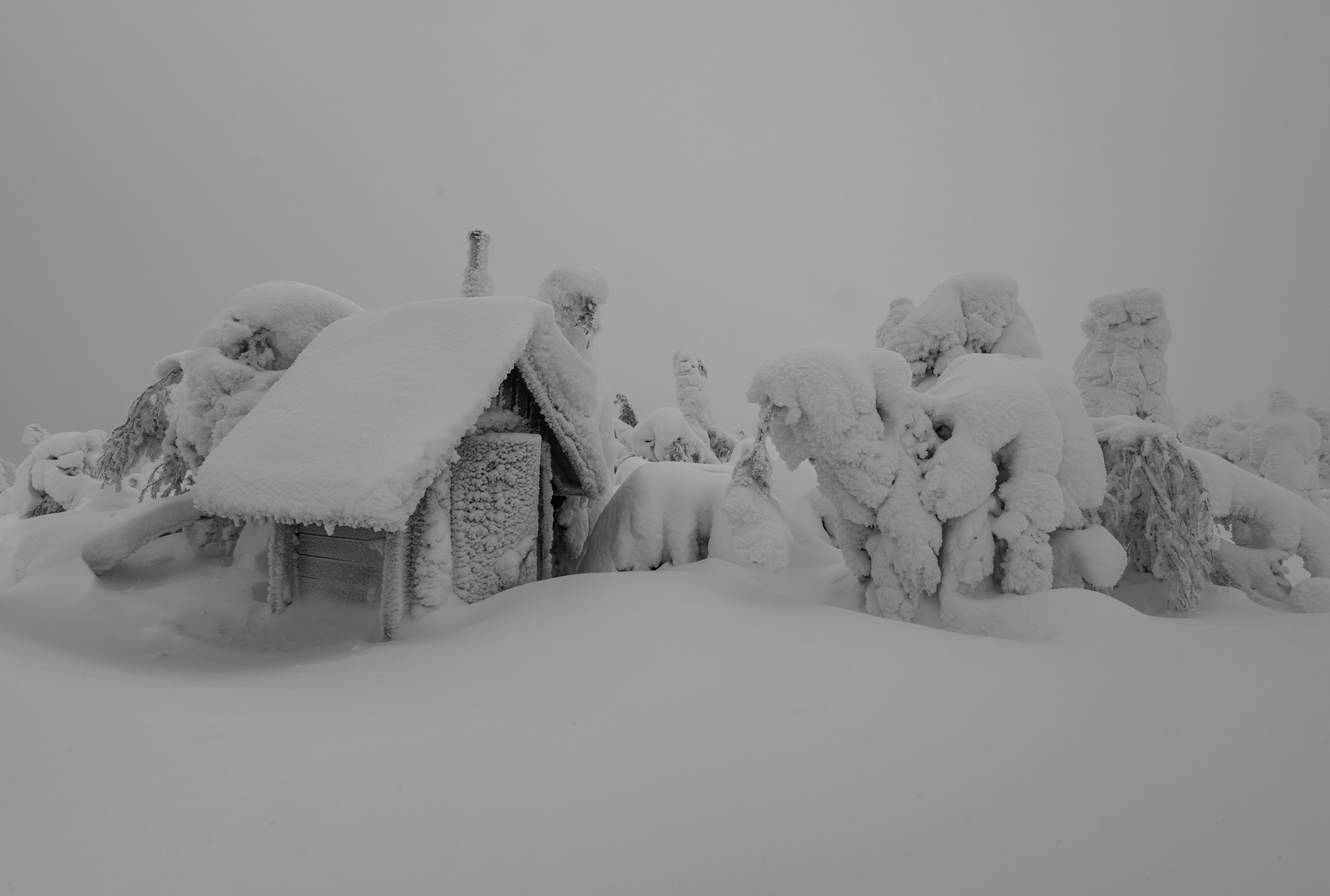 Månadens bilde - Desember 2021