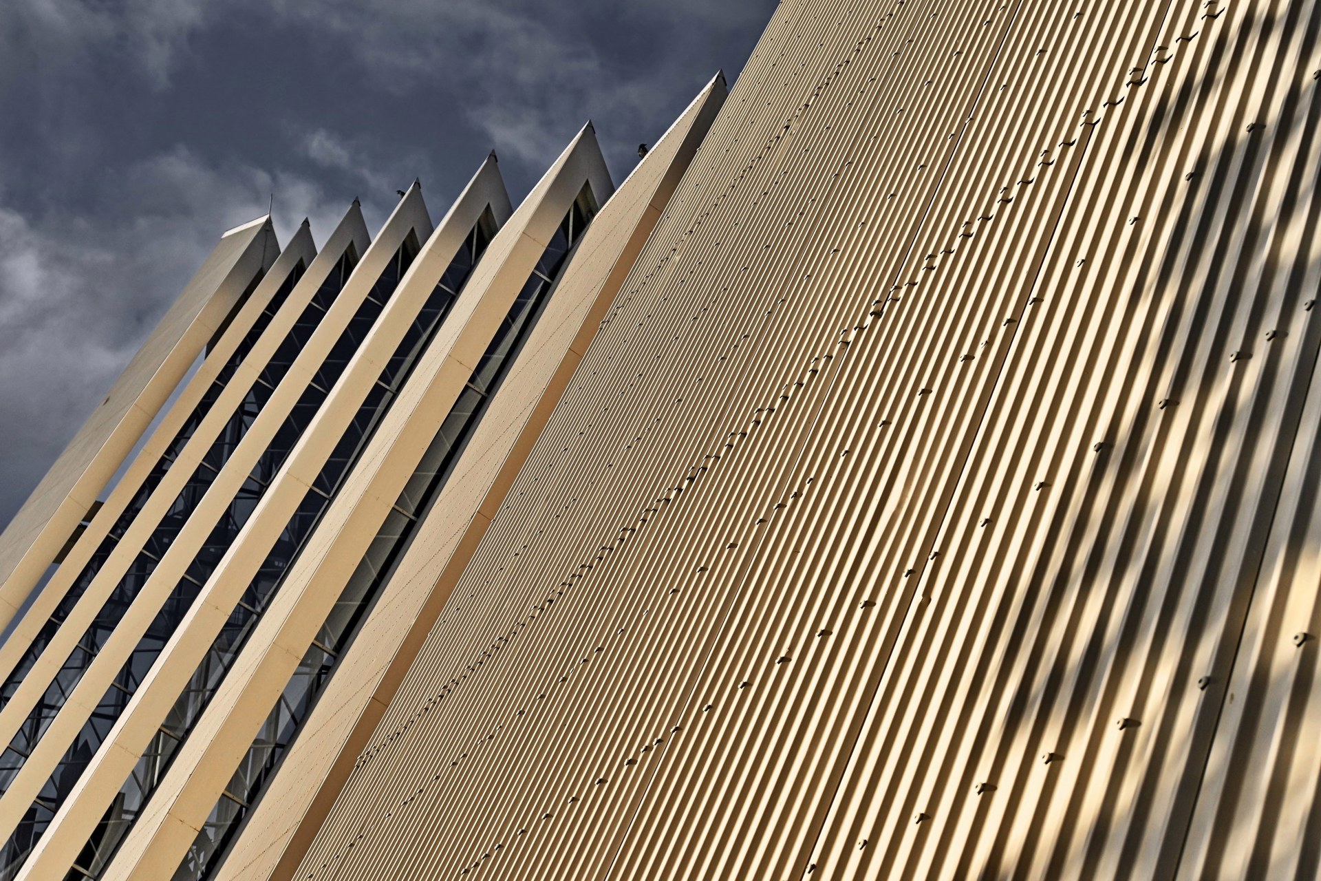 Månadens bilde - Januar 2022