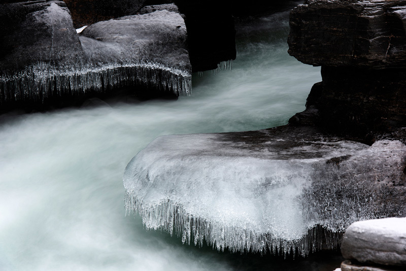 Månadens bilde - Februar 2022