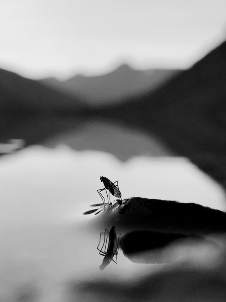 Månadens bilde - Mai 2022