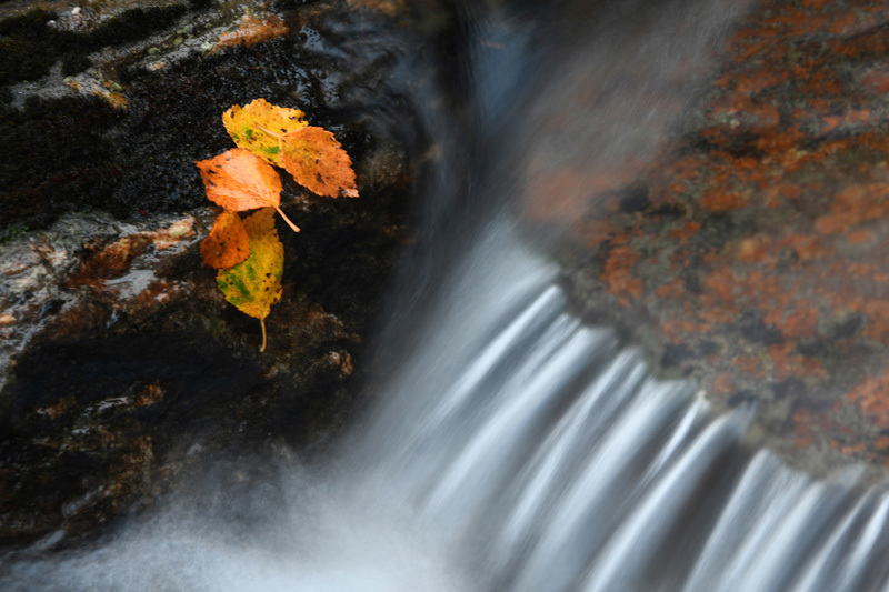 Månadens bilde - September 2023
