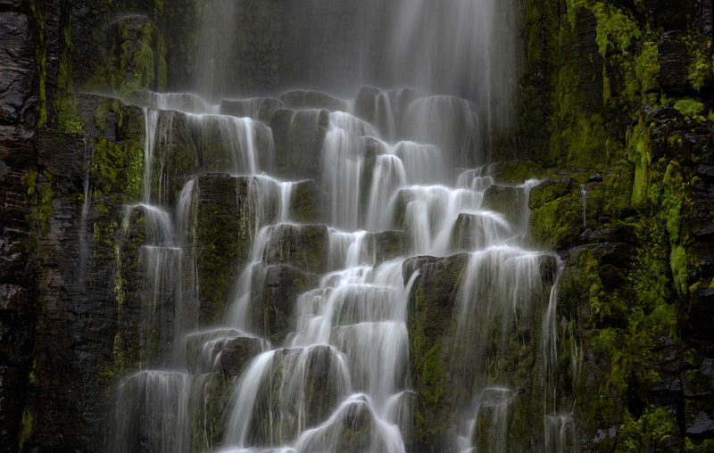 Månadens bilde - Desember 2023