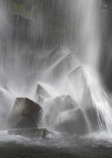 Artikkelbilde til artikkelen Månadens bilde - Juni, Juli, August 2024