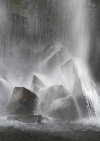 Månadens bilde - Juni, Juli, August 2024