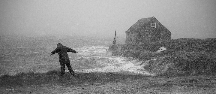 Premierte bilder i 2015 og 2016